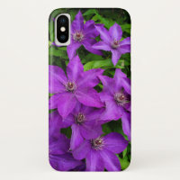 Purple Flowers Clematis Photograph