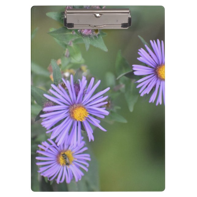 Purple Flowers Clipboard (Front)