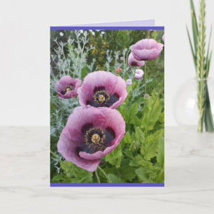 Purple Flowers Floral Poppy Photo Birthday Card