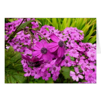 Purple Flowers from San Francisco