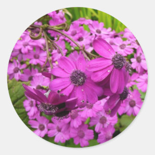 Purple Flowers from San Francisco Classic Round Sticker