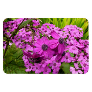 Purple Flowers from San Francisco Magnet