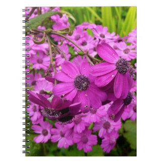 Purple Flowers from San Francisco Spiral Notebook