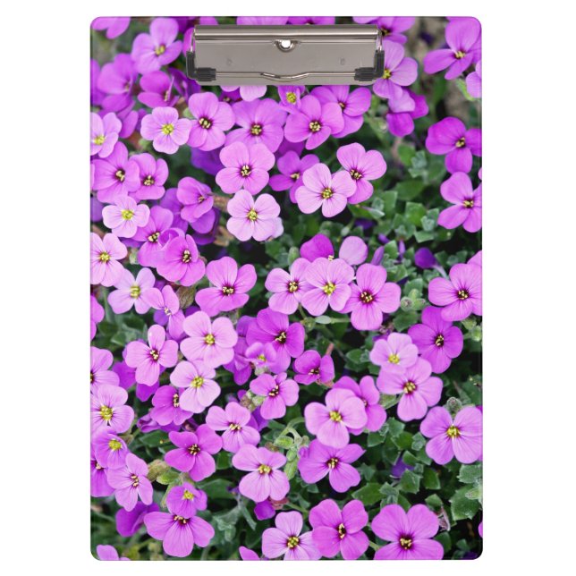 Purple Flowers Garden-22195 Clipboard (Front)