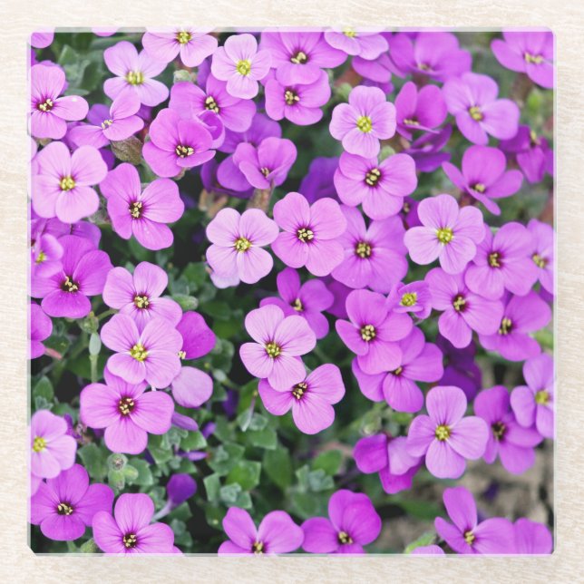Purple Flowers Garden  Glass Coaster (Front)