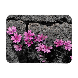 Purple flowers magnet