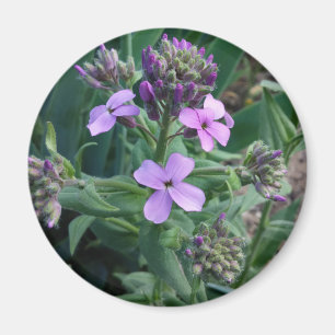 Purple Flowers Magnet