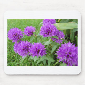 purple flowers mouse pad