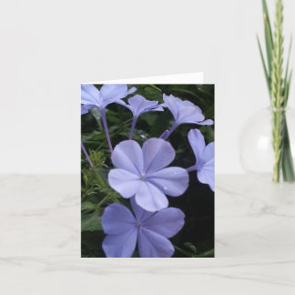 Purple Flowers Note Card