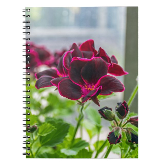 Purple flowers notebook (Front)