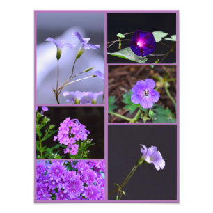 Purple Flowers Photo Collage Print