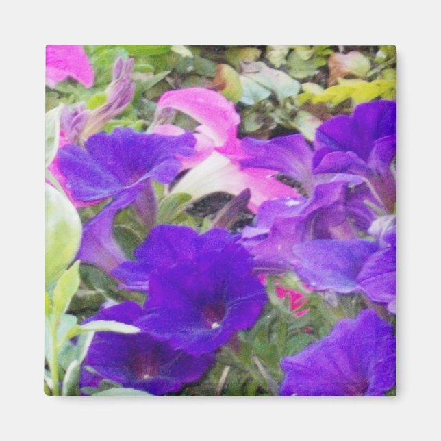 Purple Flowers Photo Magnet (Front)
