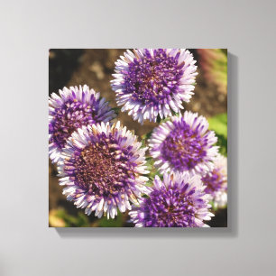 Purple Flowers Photo Single Canvas Print