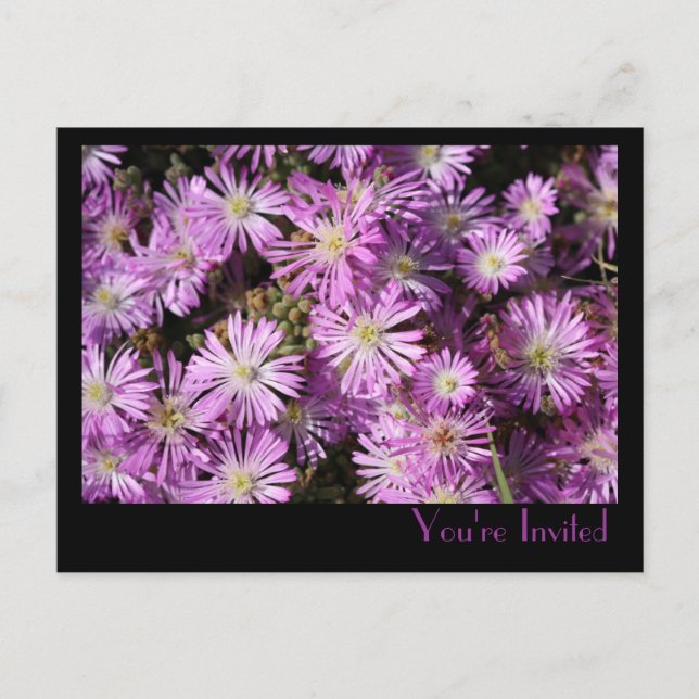 Purple Flowers Postcard (Front)