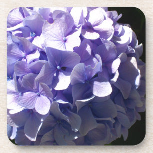 Purple flowers purple floral purple hydrageas coaster