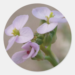 Purple Flowers Stickers