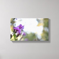 Purple Flowers Summer Nature Photography Floral