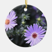 Purple Flowers Summer Nature Photography Floral