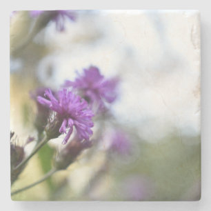 Purple Flowers Summer Nature Photography Floral Stone Coaster