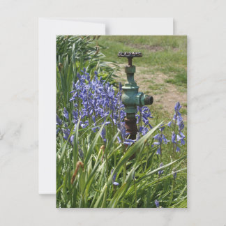 purple flowers surrounding vintage water spigot postcard
