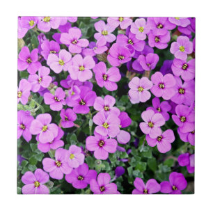 Purple Flowers Tile