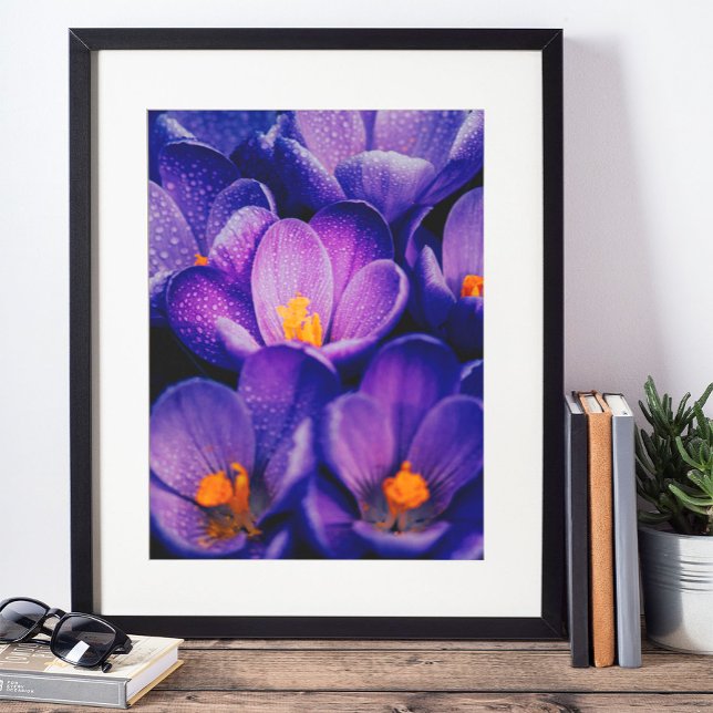Purple Flowers Wall Art | Purple Lotus Flower (Creator Uploaded)