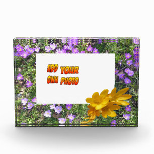 Purple Flowers Yellow Crocuses Cust. Photo Block