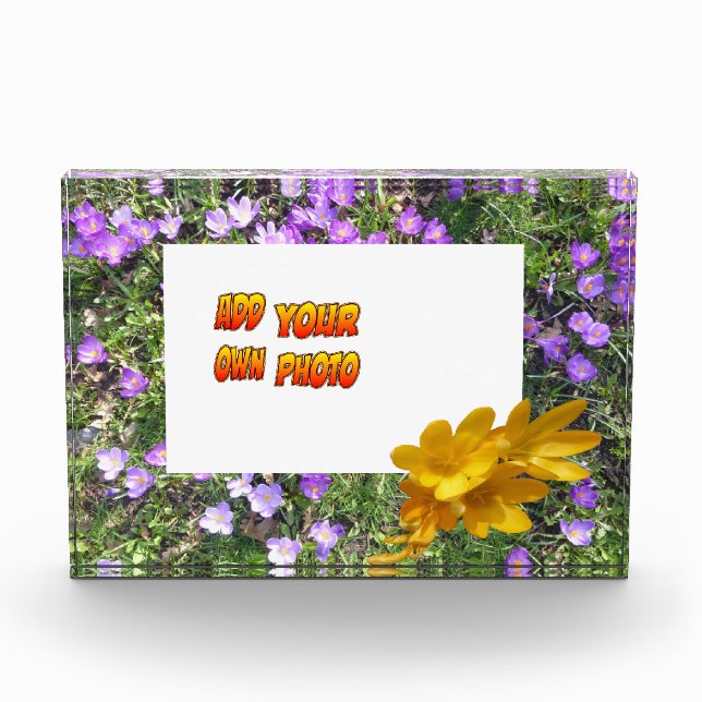 Purple Flowers Yellow Crocuses Cust. Photo Block (Front)