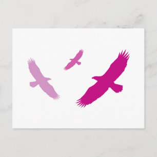 Purple Flying Eagles Postcard