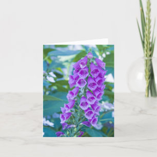 Purple Forest Foxglove #1 Card