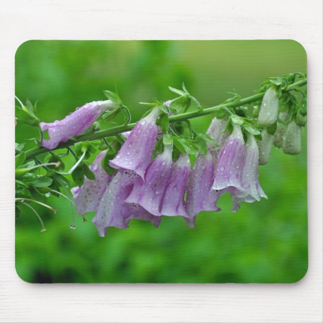 Purple foxglove flowers mouse pad (Front)