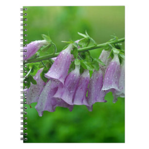 Purple foxglove flowers notebook