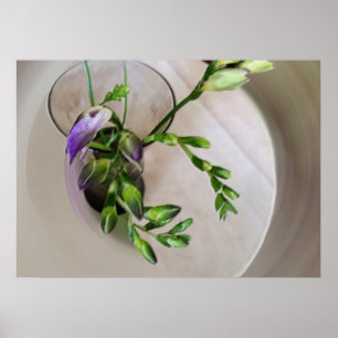 purple freesia buds poster