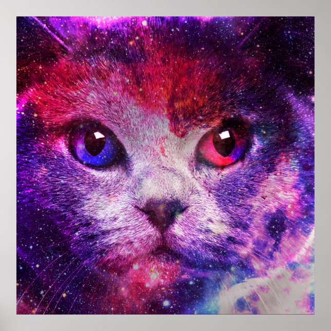 Purple Galaxy Cat  Poster (Front)