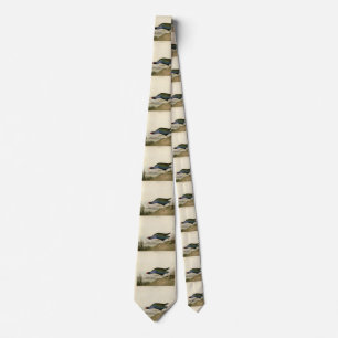 Purple Gallinule from Audubon's Birds of America Tie