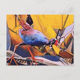 Purple Gallinule Postcard