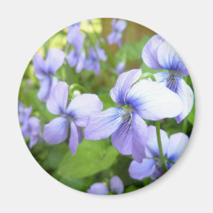 Purple Garden Flowers Magnet