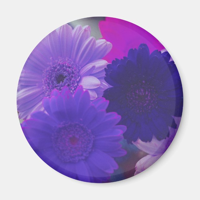 Purple Gerbera Daisy Flower Refrigerator Magnet (Front)