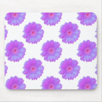 Purple gerbera daisy