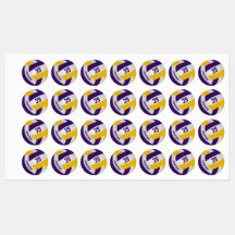 purple gold team colours boys girls volleyball