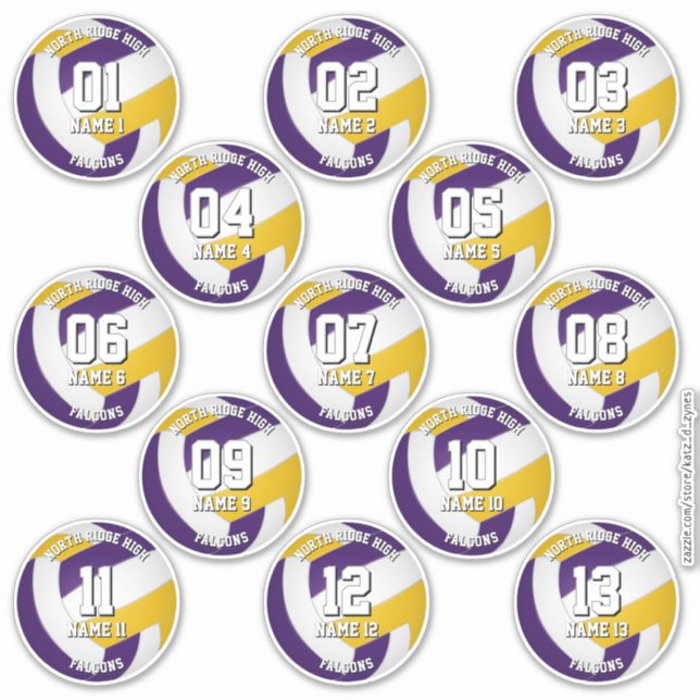 purple gold volleyball team stickers 13 athletes (Front)