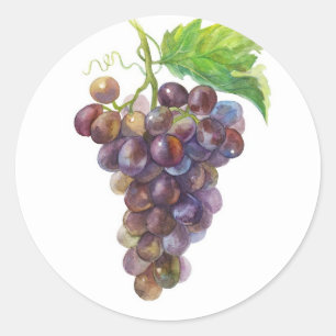 Purple Golden Grapes – Botanical Watercolor Classic Round Sticker