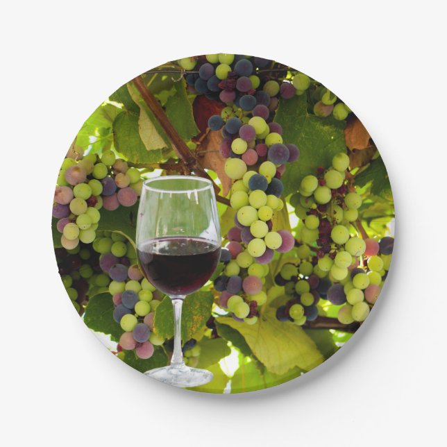 Purple Grapes Growing on the Vine with Wineglass Paper Plate (Front)