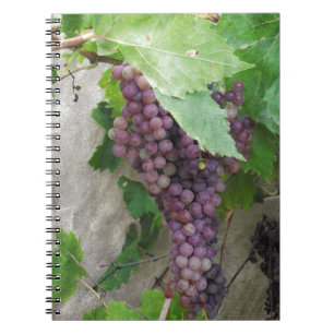 Purple Grapes on the Vine Spiral Notebook