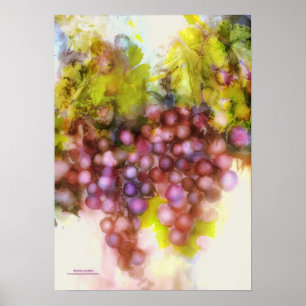 purple grapes, watercolor painting poster