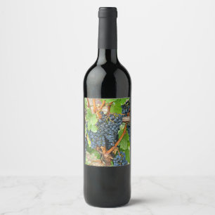 Purple grapes wine label