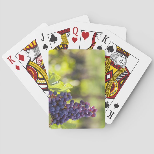 Purple grapevine playing cards (Back)
