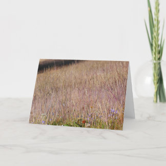 Purple Grass and Wildflowers Card