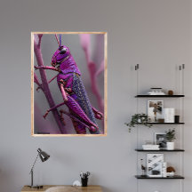 Purple Grasshopper