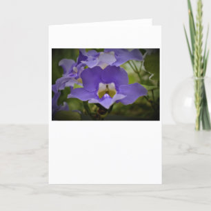 Purple & Green, card
